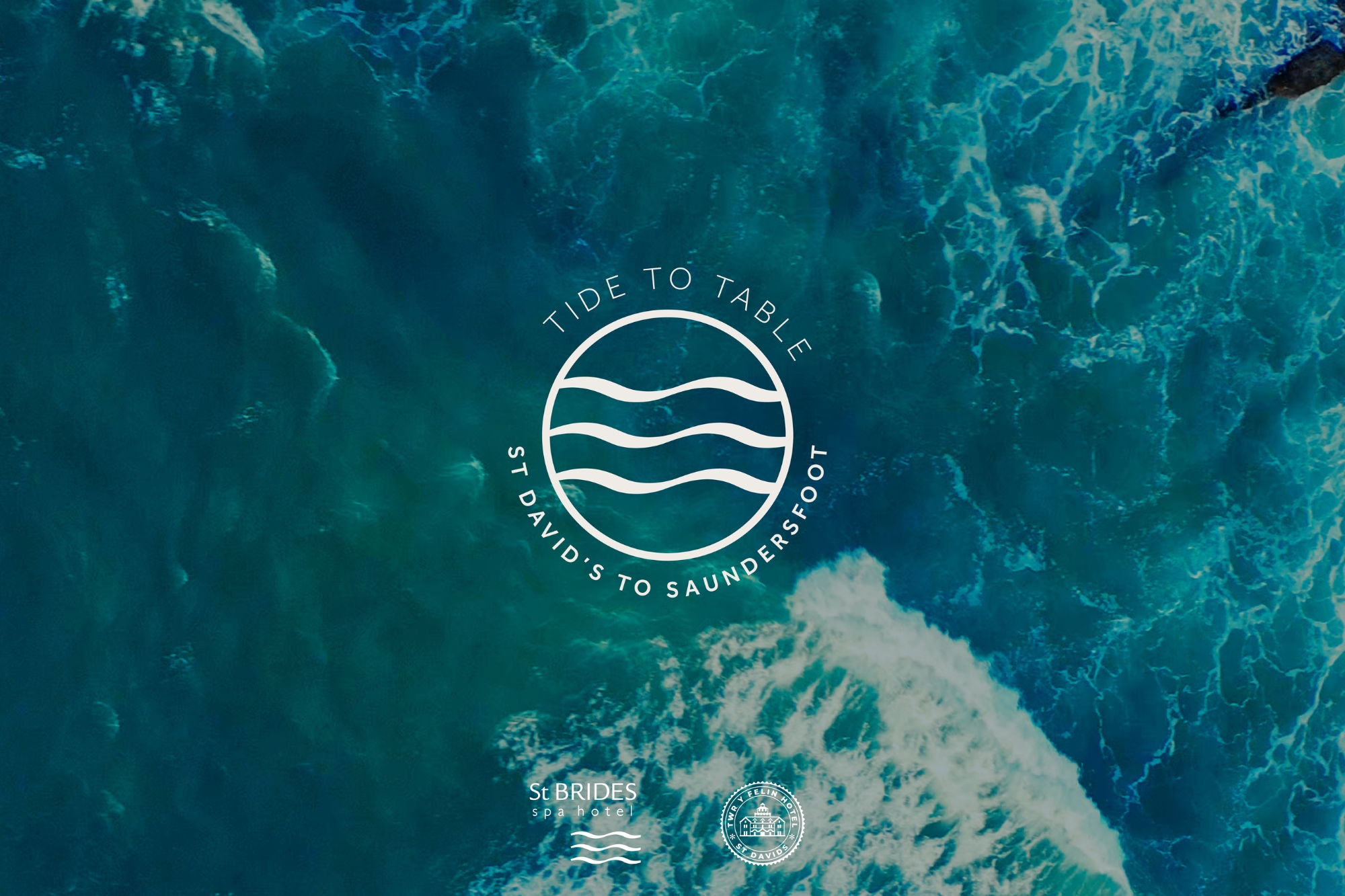 tide to table blog size