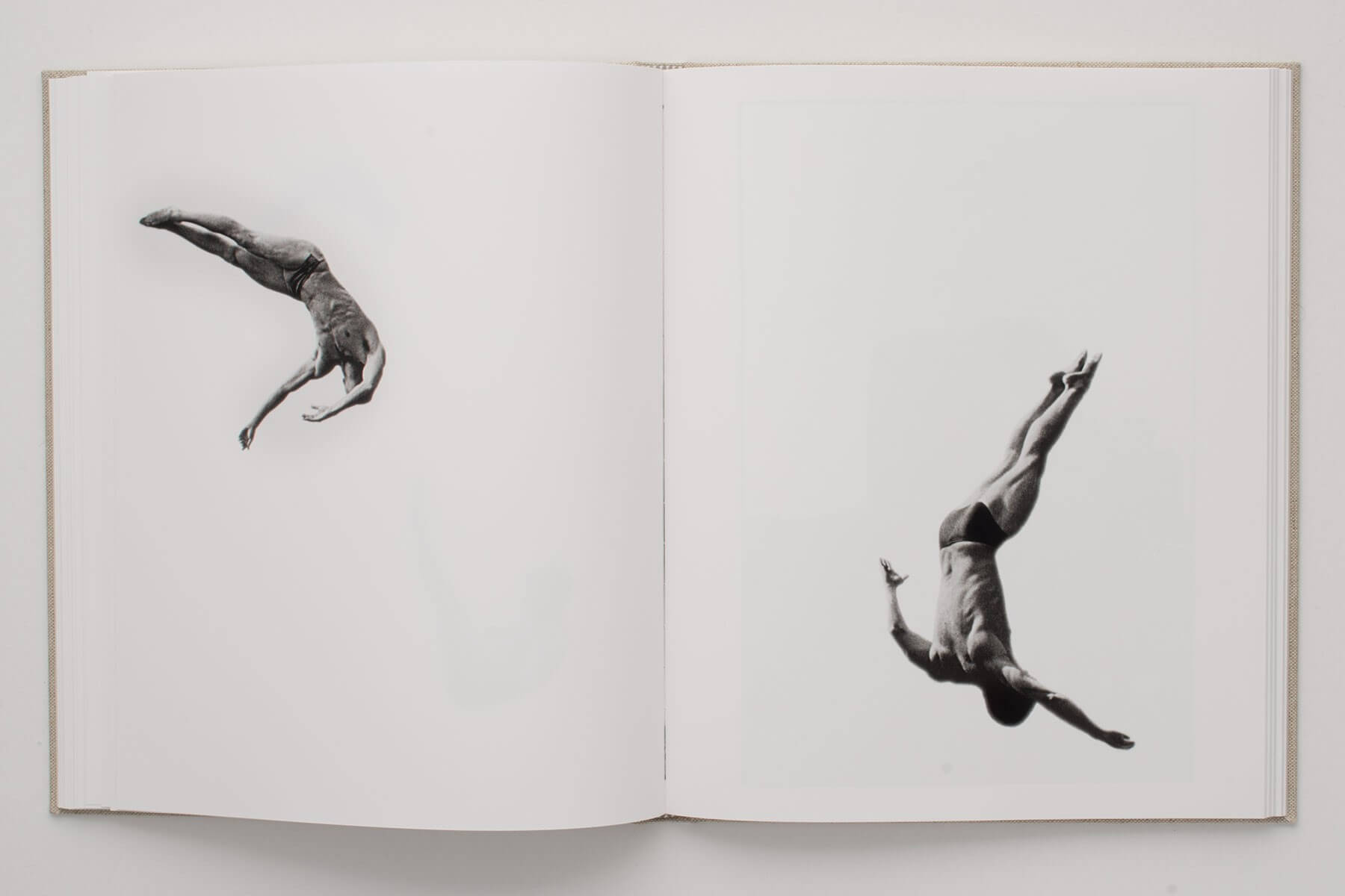 Divers (Pebidiog) <span>by Marcus Oleniuk</span>